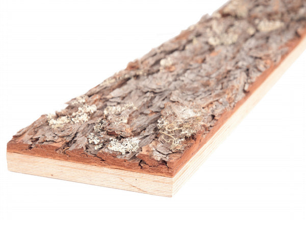 Barkvæg - Bark til beklædning af indendørs vægge - 2rethink