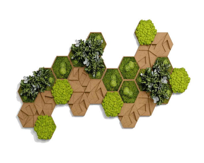 Kork og mos/plante dekoration som hexagoner med 5, 10 eller 25 stk.