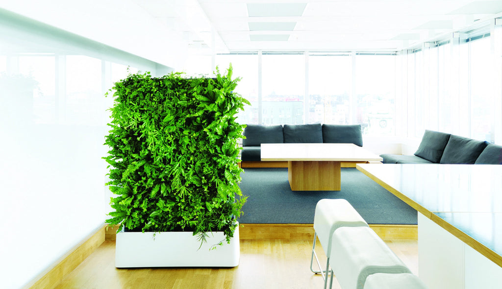 REPLANT - Grønne planteforslag til et sundere kontor. - 2rethink