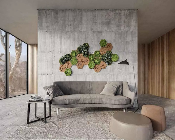 Kork og mos/plante dekoration som hexagoner med 5, 10 eller 25 stk.